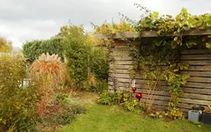 Schuppen 2016 1.webp