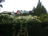 BILD0181.webp