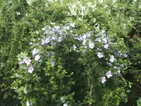 BILD0105.webp