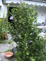 BILD0133.webp