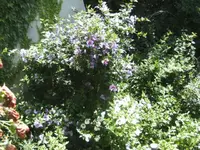 BILD0087.webp