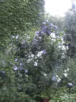 BILD0093.webp