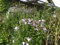 BILD0126.webp