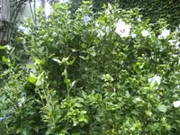 BILD0134.webp