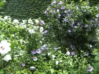 BILD0135.webp