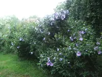 BILD0116.webp