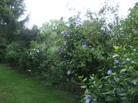 BILD0117.webp