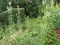 BILD0136.webp