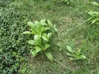 BILD0137.webp