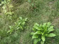 BILD0138.webp