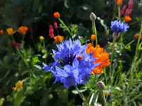 DSCF1654 (2).webp