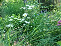 DSCF1652 (2).webp