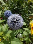 DSCN6183.jpg