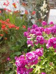 DSCN6190.jpg