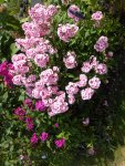 DSCN6191.jpg