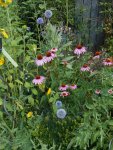 DSCN6195.jpg