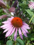 DSCN6199.jpg