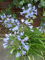 DSCN6201.webp