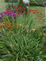 DSCN6202.webp