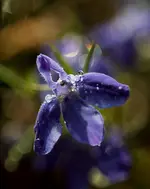 0M3A6594.webp