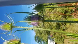 20180712_165306.jpg