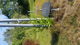 20180712_165316.webp