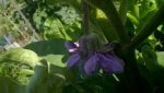 WP_20180712_004.jpg