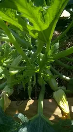 WP_20180712_008.webp