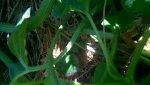WP_20180712_010.jpg