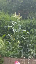 WP_20180712_018.webp