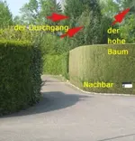 IMG_3600 Fortmann Heckenausschnitt Kopie.webp