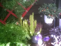 Terrasse im Herbst.webp