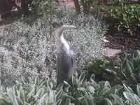 Paradisvogel.webp