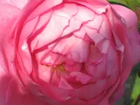 024.webp