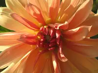035.webp