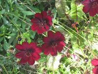 037.webp