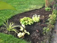 Garten September309 002.webp