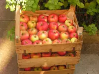 2009  Garten - 9 - 165.webp
