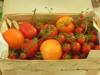 2009  Garten - 9 - 166.webp
