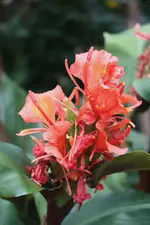 IMG_2117.webp