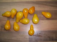 Garten 09.09 078.webp