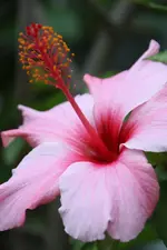 IMG_2134.webp