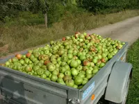DSCF0048.webp