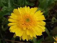 P1000379.webp