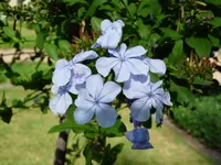 P1000216.webp