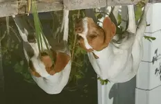 Spiegelung im Wasser2_klein.webp