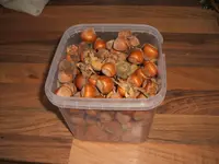 Garten 09.09 085.webp