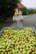 Jongleurin.webp
