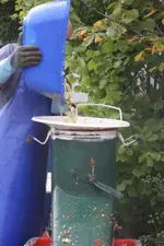 Äpfel zerkleineren.webp