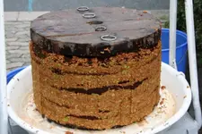 Ganzer Treberkuchen.webp